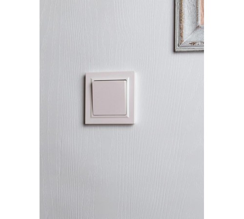 BRITE Выключатель 1-клавишный 10А в сборе ВСР10-1-0-БрЖ жемчуг  BR-V10-0-10-K36-F  IEK