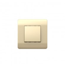 Выключатель 1-клавишный без фиксации, 10А, шампань(NEW3-E)  431400  CHINT