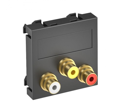 Мультимедийная рамка Audio-Video Modul45 (черный) (MTG-12R L SWGR1)  6105165  OBO Bettermann