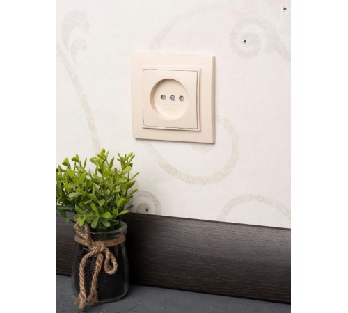 Розетка 1-мест. СП б/з 10 А с защ. штор. бежевый Минск EKFERR10-022-200EKF