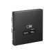 ArtGallery Базальт Розетка USB тип-С 65Вт высокоскор.заряд. QC, PD, механизм  GAL001427  SE
