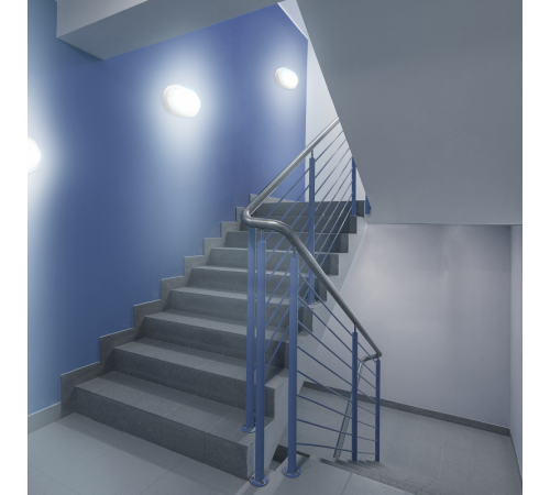 Светильник светодиодный пылевлагозащищенный для ЖКХ Elementary овал 8W 700lm 6500K 160-260V IP65 160*90*46мм белый LED 1/40  161411308  Gauss