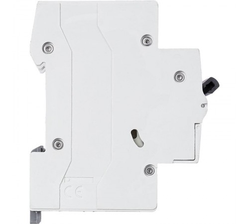 Выключатель автоматический двухполюсный RX3 4500 50А C 4,5кА  419702  Legrand