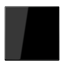 Центральная плата стандарт, чёрный LS1700SW Jung