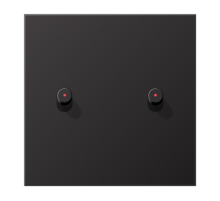 Центральная плата, 1 пост, 2 тумблера, цилиндр c окошком; металл; Dark; серия LS  AL12-5KODR01  Jung