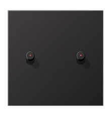 Центральная плата, 1 пост, 2 тумблера, цилиндр c окошком; металл; Dark; серия LS  AL12-5KODR01  Jung