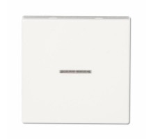 Клавиша для одинарного выключателя с окошком; белый  EP490KOWW  Jung