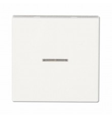 Клавиша для одинарного выключателя с окошком; белый  EP490KOWW  Jung