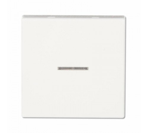 Клавиша для одинарного выключателя с окошком; белый  EP490KOWW  Jung