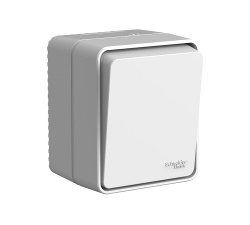 AtlasDesign Profi54 Серый О/У Выключатель 1-клавишный 10 АХ  ATN543011  SE