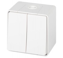 Переключатель 2-клавишный ЭРА Эксперт 11-1506-01 IP55, 10АХ-250В, ОУ, Белый  Б0063295  ЭРА