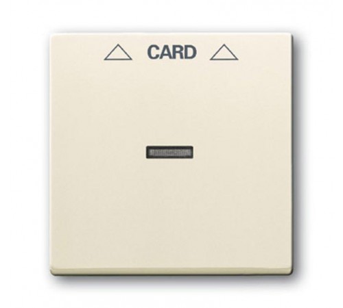 Плата центральная (накладка) для мех. карточного выкл. 2025 U, серия solo/future, цвет savanne/слоновая кость  1710-0-3640   2CKA001710A3640  ABB