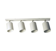 Светильник "Спот" НПБ 01-4х60-513 бел.матовый/белый  1005404516  Элетех