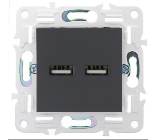 SKANDY Розетка USB A+A 3,1А SK-R15T титан  SK-U21-D31-K48  IEK