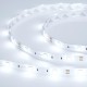 Лента светодиодная RTW 2-5000SE 12V Cool (5060, 150 LED, LUX)  016834  Arlight