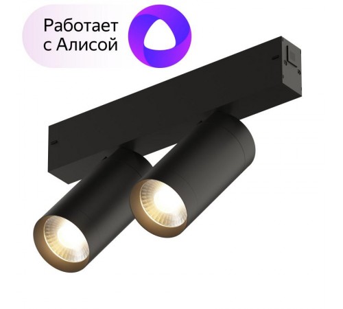 Светильник трековый акцентный DK8012-BK SMART SPOT DOUBLE 2x9W DIM 3000K-6000K, черный  DK8012-BK  DENKIRS