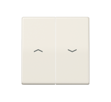 2-я клавиша с символам "стрелки" для баланс. мех. выкл. (кнопок), в комп с AS90-5HP , возможно IP44; дюропласт; слоновая кость; AS500 AS591-5P  Jung