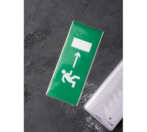 Пиктограмма "Направление направо" 320х120мм (для EXIT, SAFEWAY-40)  pkal-01-04  EKF