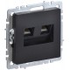 BRITE Розетка двойная RJ11+RJ45 кат.5E РК/Т12-БрЧ черный  BR-KT20-O-1-K02  IEK