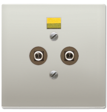 Штепсельная розетка для выравнивания потенциалов; благородная сталь  ES2965-2  Jung