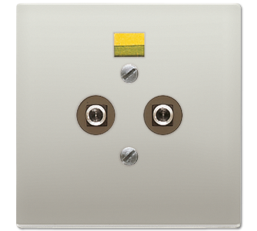 Штепсельная розетка для выравнивания потенциалов; благородная сталь  ES2965-2  Jung