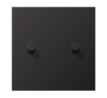 Центральная плата для выключателей, 1 пост, 2 тумблера, конус; металл; dark; LS1912  AL12-5DK01  Jung