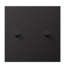 Центральная плата для выключателей, 1 пост, 2 тумблера, конус; металл; dark; LS1912  AL12-5DK01  Jung