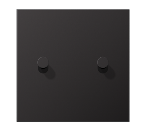 Центральная плата для выключателей, 1 пост, 2 тумблера, конус; металл; dark; LS1912  AL12-5DK01  Jung