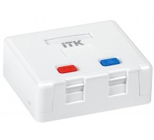 Корпус настенной розетки для 2 мод. Keystone Jack  CS2-022  ITK