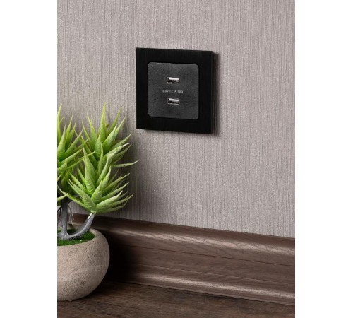 Стокгольм Механизм Розетки USB 2-местной 2,1А черный PROxima  EZR16-028-10-2USB  EKF