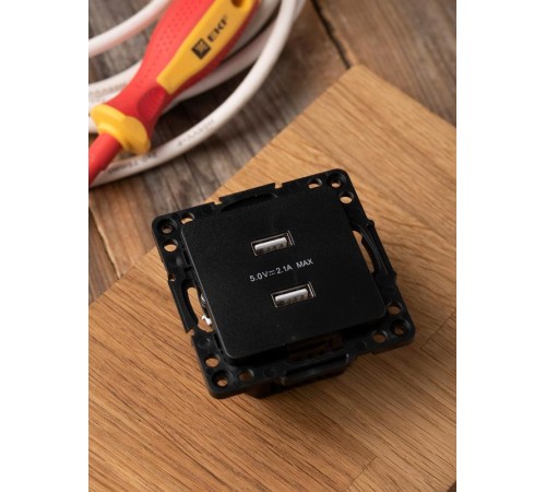 Стокгольм Механизм Розетки USB 2-местной 2,1А черный PROxima  EZR16-028-10-2USB  EKF