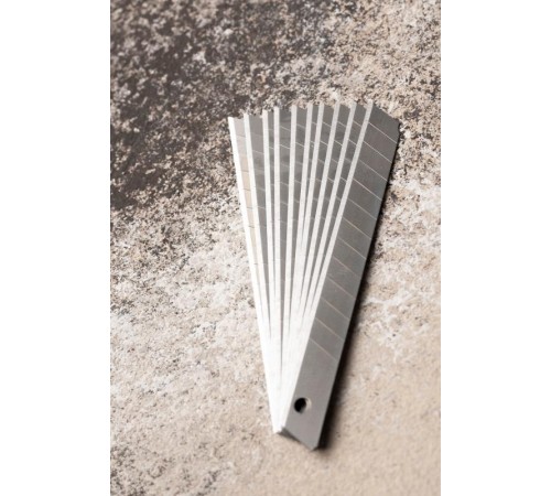 Набор сегментированных лезвий 9 мм НС-10 Master  cm-s10-ms  EKF