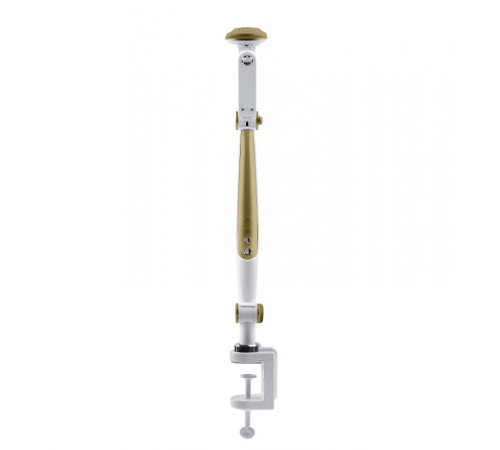 Светильник настольный NLED-496-12W-G светодиодный на струбцине золото  Б0052769  ЭРА