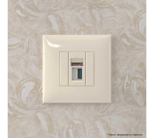 USB 3.0 розетка одинарная в стену, тип А-А, "Avanti", "Ванильная дымка"  4405303  DKC