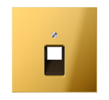 Крышка для ординарной телефонной и компютерной розетки  UAE; металл цвета золота  GO2969-1UA  Jung