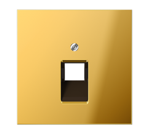 Крышка для ординарной телефонной и компютерной розетки  UAE; металл цвета золота  GO2969-1UA  Jung