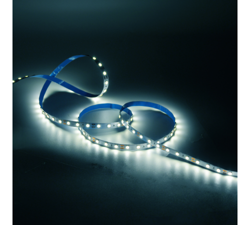 Лента светодиодная Basic LED 5050/60 12V 10W/m 700lm/m 4000K 10mm IP20 1m 1/100  BT034  Gauss