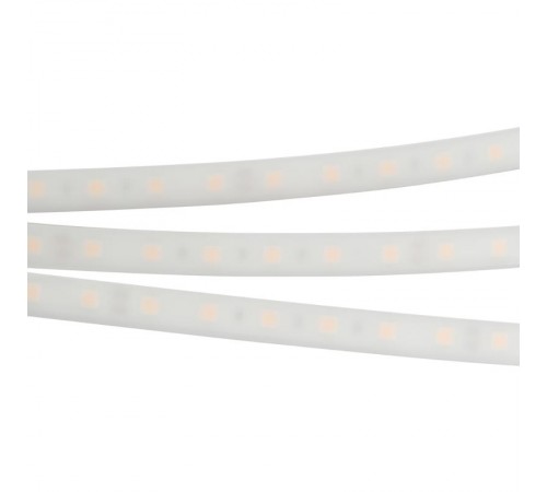 Лента светодиодная RTW 2-5000PW 12V White6000 2x (5060, 300 LED, LUX)  016169  Arlight