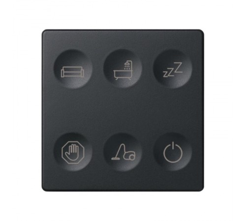 Сенсорный 6-кл выключатель с тематической маркировкой Т1, графит  8000663-038  Simon