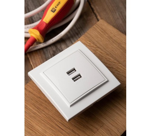 Минск Розетка USB 2-местная СП 2,1А  белая    ERR-2USB-100  EKF