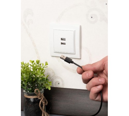Минск Розетка USB 2-местная СП 2,1А  белая    ERR-2USB-100  EKF