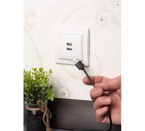 Минск Розетка USB 2-местная СП 2,1А  белая    ERR-2USB-100  EKF