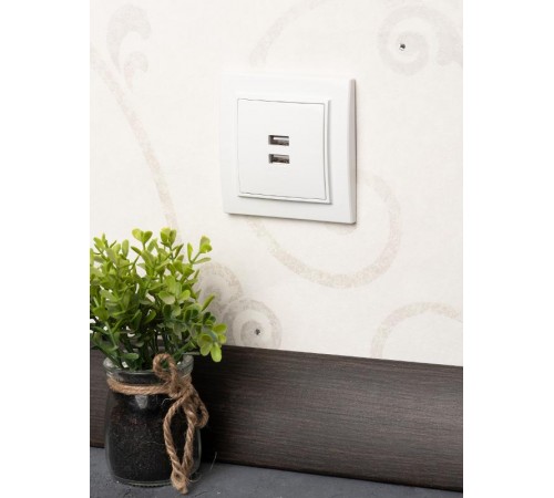 Минск Розетка USB 2-местная СП 2,1А  белая    ERR-2USB-100  EKF