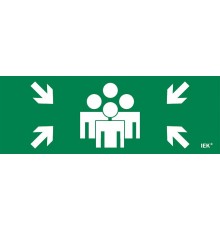 Этикетка самоклеящаяся  280х100мм "Место сбора"   LPC10-1-28-10-MSTS  IEK