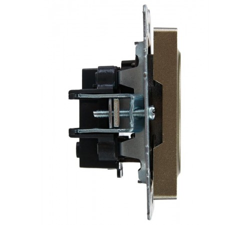 BRITE Розетка без заземления со шторками 10А РСш10-2-БрШ шампань  BR-R13-10-K37  IEK