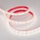 Лента светодиодная герметичная RTW-PFS-B60-13mm 24V Warm3000 (14.4 W/m, IP68, 5060, 5m) (arlight, -)  033788  Arlight