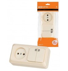 Блок комбинированный выкл. 2-кл. с/п 10А + розетка 2П 10А 250В БКВР IP20 сл. кость "Ладога"   SQ1801-0208  TDM