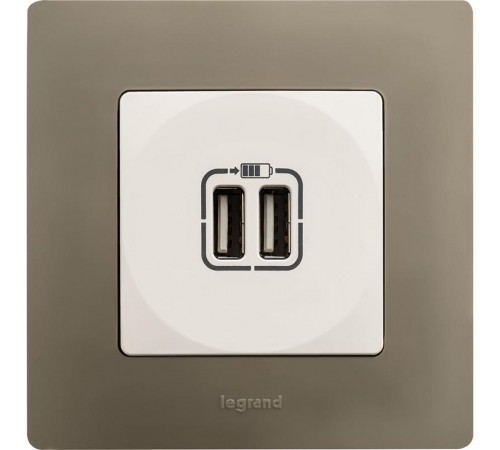 Etika Белый Розетка USB 2-ая 240В/5В 2400мА  672294  Legrand