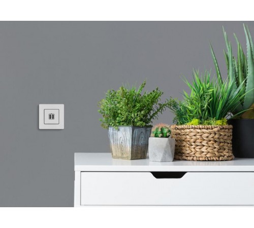 Etika Белый Розетка USB 2-ая 240В/5В 2400мА  672294  Legrand