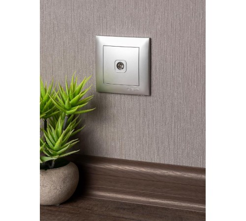 Валенсия лицевая панель розетки TV 1-местная 75Ом 5-862МГц сталь EKF PROxima   ESA00-L-027-30   EKF